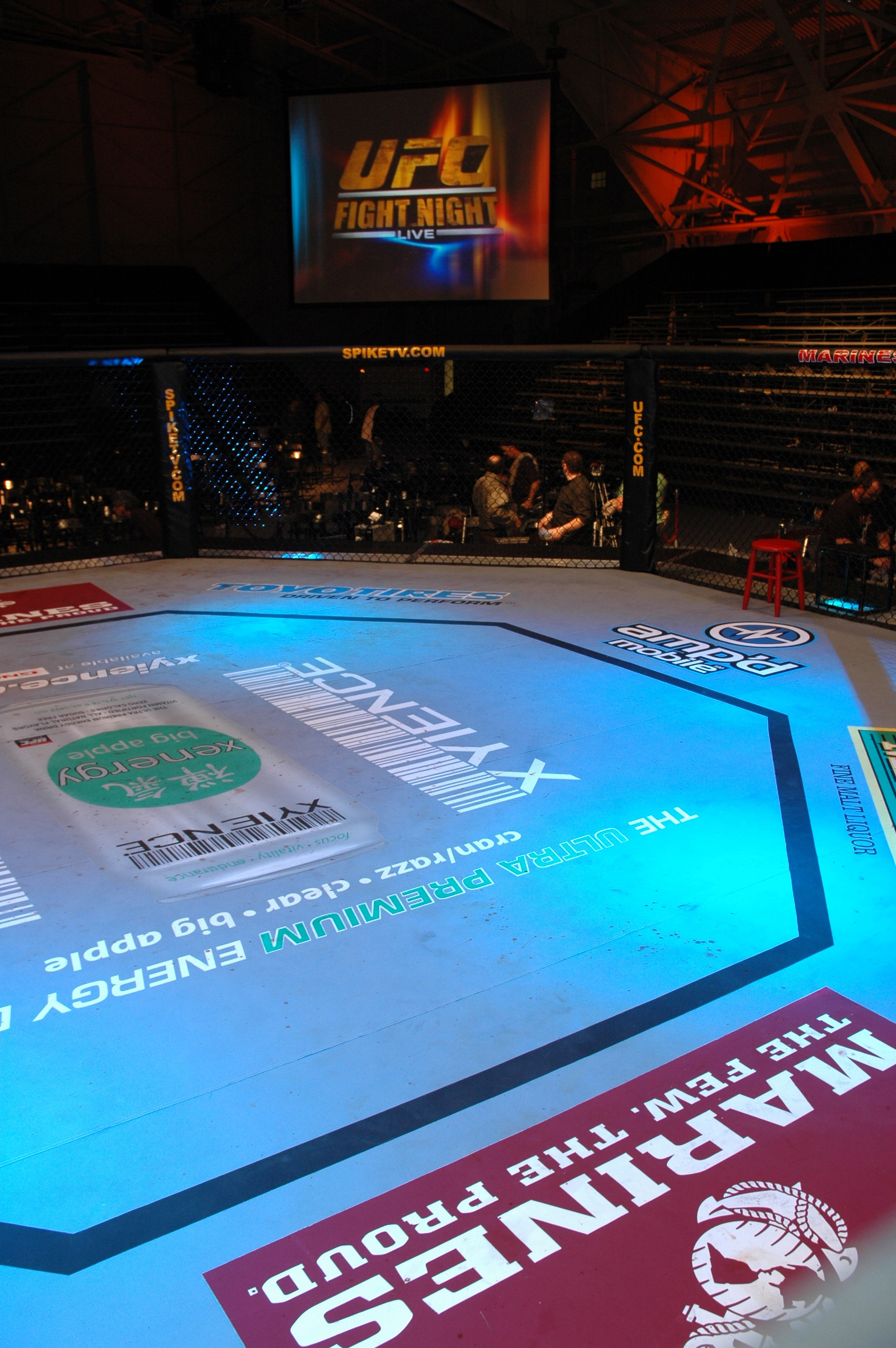 The UFC Octagon inside an arena at Ultimate Fight Night 7.